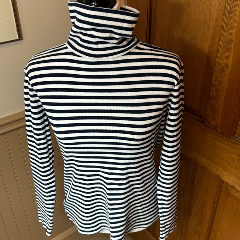 Joules Blue/White Striped Turtleneck - 12